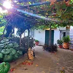 Tatil Evi 3